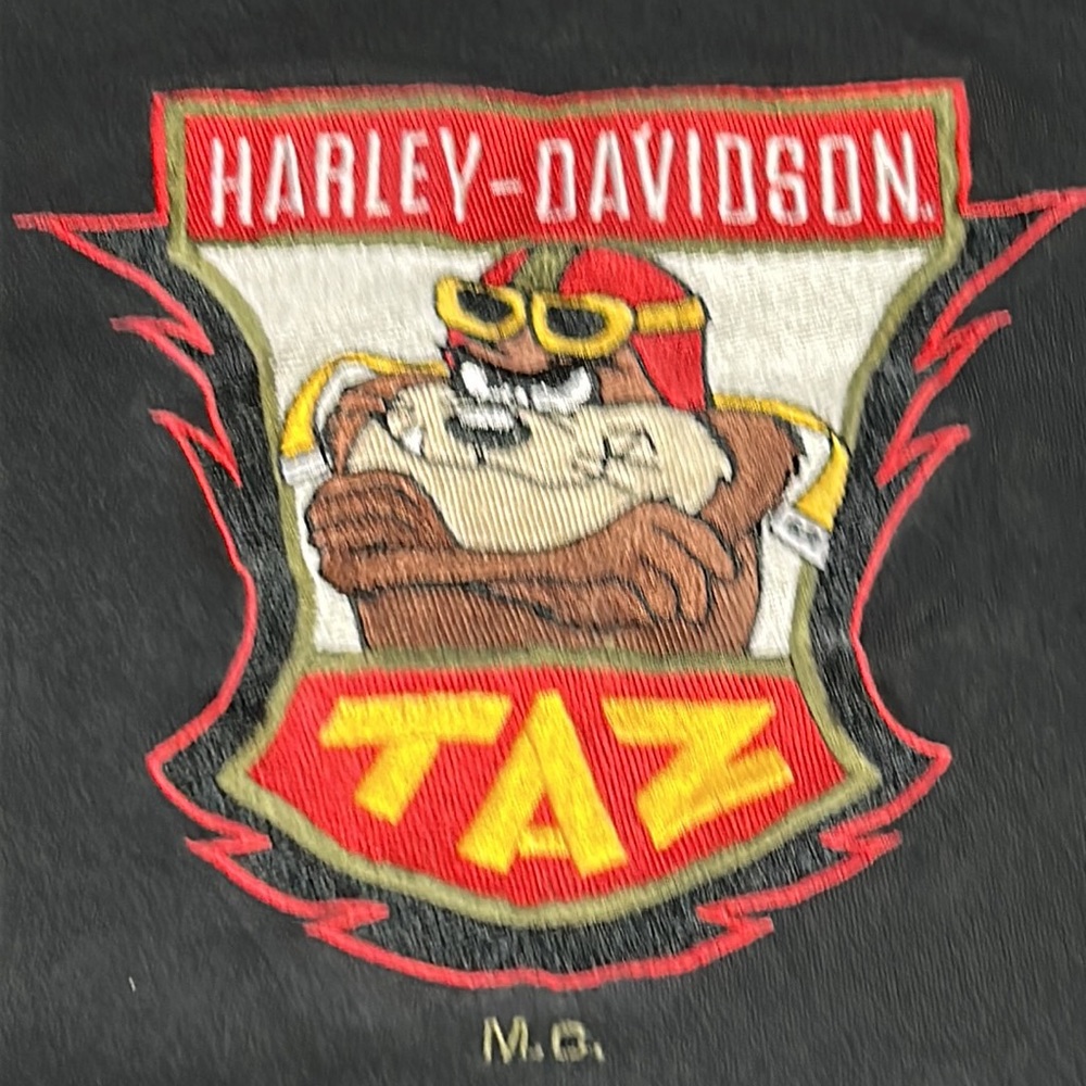 Vintage Harley Davidson Taz Looney Tunes Shirt M